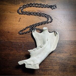 Beaver Jawbone Gunmetal Chain Necklace